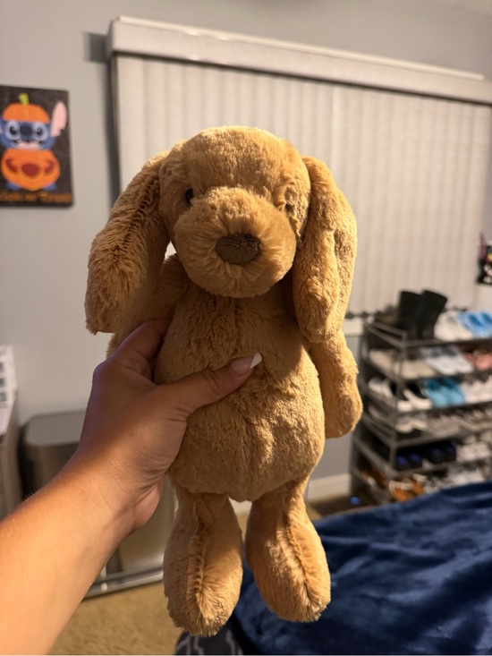 Jellycat Other - BNWT Toffee Puppy Jellycat